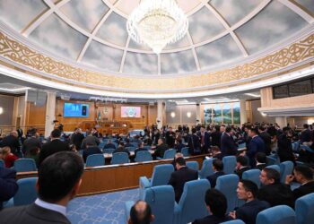 Мемлекет басшысы Үкіметке бірқатар тапсырма берді: