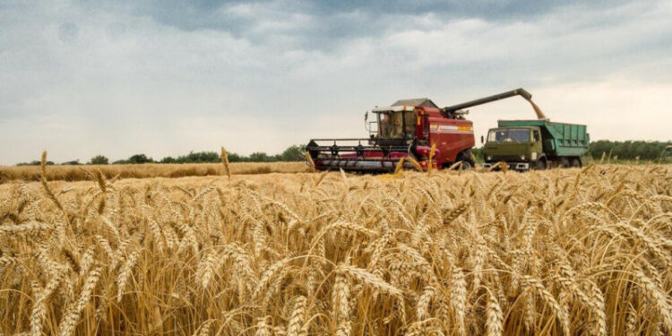 УБОРКУ ЗЕРНОВЫХ ЗАВЕРШИЛИ АГРАРИИ ШЫМКЕНТА