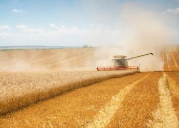 Ауыл шаруашылығының жалпы өнім көлемі 3,4%-ға өсіп, 3,6 трлн теңгеге жетті