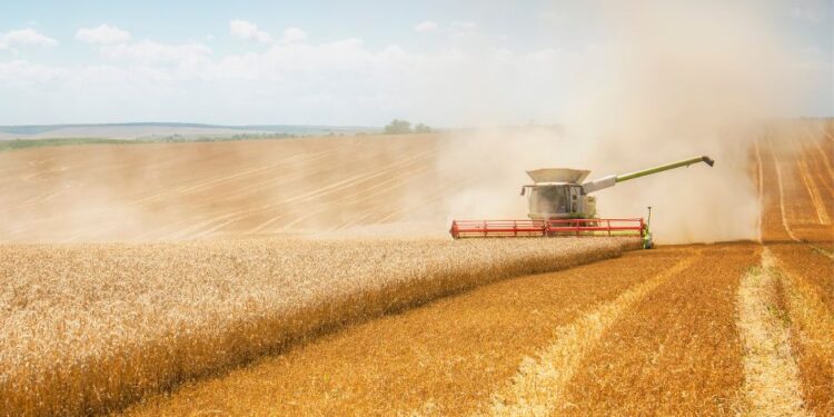 Ауыл шаруашылығының жалпы өнім көлемі 3,4%-ға өсіп, 3,6 трлн теңгеге жетті