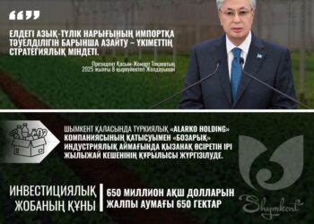 ИНВЕСТИЦИЯЛЫҚ ЖОБА: ШЫМКЕНТТЕ ОРТА АЗИЯДАҒЫ ЕҢ ІРІ ЖЫЛЫЖАЙ КЕШЕНІ САЛЫНУДА