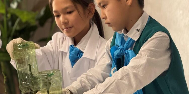 «Таза Қазақстан»: жители Шымкента вносят вклад в улучшение экологического облика города