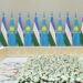 Мемлекет басшысы Өзбекстан Президентімен келіссөз барысында саяси және экономикалық байланыстарды жандандыра түсетін жаңа бағыттар айқындалғанын жеткізді