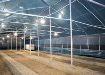 ТҮРКІСТАНДАҒЫ 10 ГЕКТАР АУМАҚТА ТҰҚЫМБАҚ ІСКЕ ҚОСЫЛДЫ