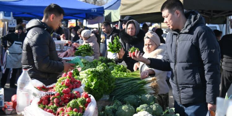 Қолжетімді баға, сапалы өнім: Шымкенттегі сенбілік жәрмеңкелер өтуде