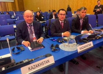 ИНТЕРНЕТ-АЛАЯҚТЫҚҚА ҚАРСЫ ЖАҺАНДЫҚ САММИТКЕ ҚАТЫСТЫ