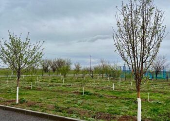 ТҮРКІСТАН: СОЗАҚ АУДАНЫНДА «ЖАСЫЛ БЕЛДЕУ» ҚҰРЫЛЫП, ТҰРҒЫНДАР КӨГАЛДАНДЫРУ ІСІН ҚОЛҒА АЛДЫ