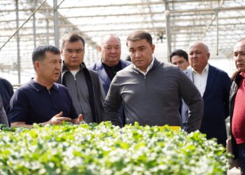 ТҮРКІСТАН ОБЛЫСЫНДА ЖЫЛЫЖАЙЛАРДЫ ЭКОЛОГИЯЛЫҚ ТИІМДІ ЖЫЛЫТУ ЖОЛДАРЫ ЕНГІЗІЛУДЕ