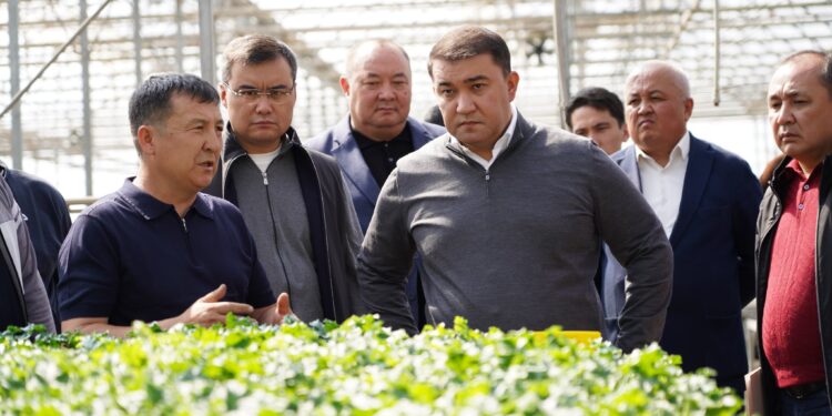 ТҮРКІСТАН ОБЛЫСЫНДА ЖЫЛЫЖАЙЛАРДЫ ЭКОЛОГИЯЛЫҚ ТИІМДІ ЖЫЛЫТУ ЖОЛДАРЫ ЕНГІЗІЛУДЕ