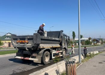 Тұран ауданында ауқымды сенбілік өтті