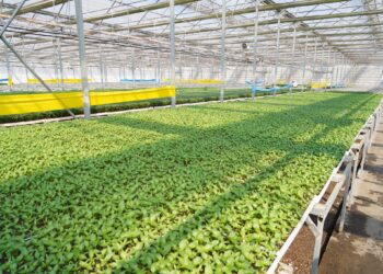 ТҮРКІСТАН ОБЛЫСЫ ЕЛІМІЗДЕГІ ЖЫЛЫЖАЙ ШАРУАШЫЛЫҒЫНЫҢ ЕҢ ҚАРҚЫНДЫ ДАМЫҒАН ӨҢІРЛЕРІНІҢ БІРІ САНАЛАДЫ