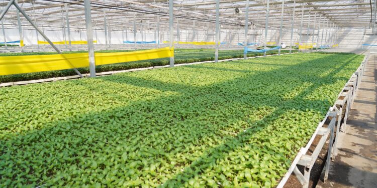 ТҮРКІСТАН ОБЛЫСЫ ЕЛІМІЗДЕГІ ЖЫЛЫЖАЙ ШАРУАШЫЛЫҒЫНЫҢ ЕҢ ҚАРҚЫНДЫ ДАМЫҒАН ӨҢІРЛЕРІНІҢ БІРІ САНАЛАДЫ