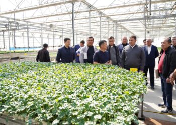 В ТУРКЕСТАНСКОЙ ОБЛАСТИ ВНЕДРЯЮТСЯ ЭКОЛОГИЧЕСКИ ЭФФЕКТИВНЫЕ СПОСОБЫ ОТОПЛЕНИЯ ТЕПЛИЦ