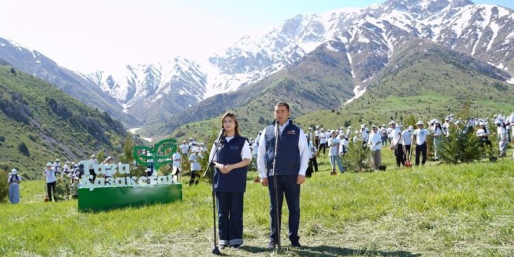 ТҮРКІСТАН ОБЛЫСЫНДА «TAZA QAZAQSTAN» БАҒДАРЛАМАСЫ АЯСЫНДА БІР КҮНДЕ 20 МЫҢ АҒАШ ЕГІЛДІ