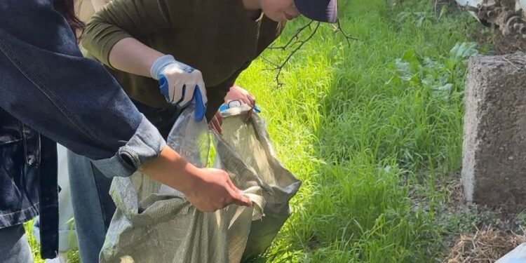 Шымкент жастары тазалық акциясына белсенді қатысты