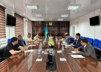 ТӨЛЕБИ АУДАНЫНДА ИНВЕСТОРЛЫҚ МІНДЕТТЕМЕЛЕР ТАЛҚЫЛАНДЫ