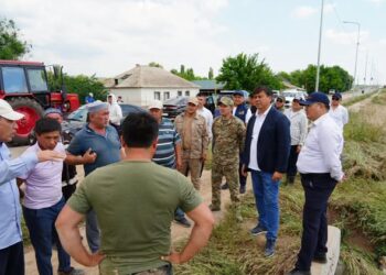ТҮРКІСТАН ОБЛЫСЫНДА НӨСЕР ЖАУЫННАН КЕЙІНГІ ЖАҒДАЙ БАҚЫЛАУДА ӘРІ ТҰРАҚТЫ