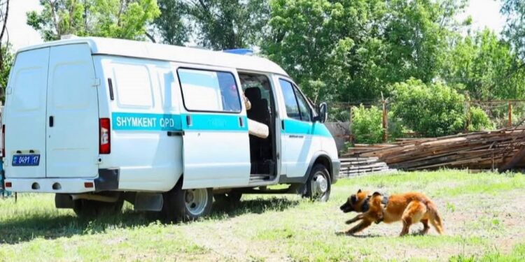 ХАЛЫҚАРАЛЫҚ НАШАҚОРЛЫҚҚА ҚАРСЫ КҮРЕС КҮНІНЕ ОРАЙ ТАНЫМДЫҚ ЭКСКУРСИЯ ҰЙЫМДАСТЫРЫЛДЫ