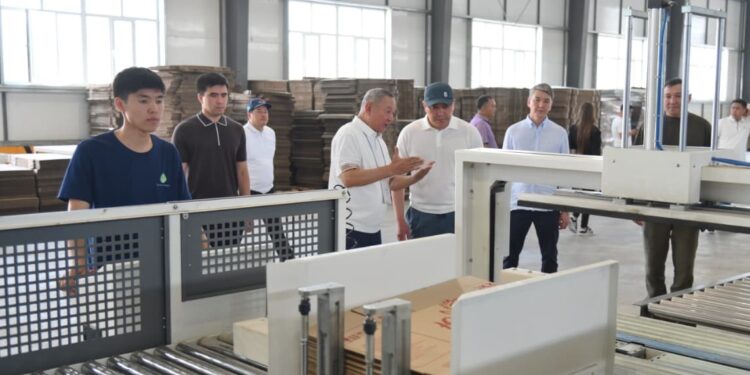 МАКУЛАТУРАНЫ ҚАЙТА ӨҢДЕУ ЖӘНЕ КАРТОН ҚАПТАМА ӨНДІРЕТІН ЗАУЫТ АШЫЛДЫ