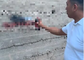 ЗАҢ МЕН ТӘРТІП: ШЫМКЕНТТЕ «STOP GRAFFITI» ЖЕДЕЛ-ПРОФИЛАКТИКАЛЫҚ ІС-ШАРАСЫ ӨТУДЕ